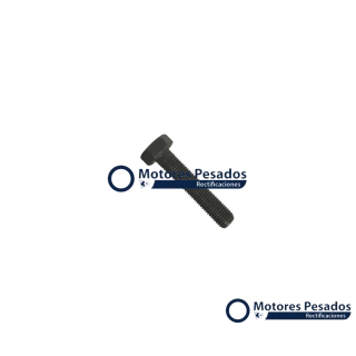 Bulon de biela para MWM 6.10 TCA Serie 10 - 6 cil.