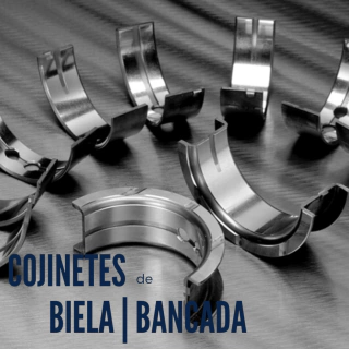 Cojinetes de Biela y Bancada