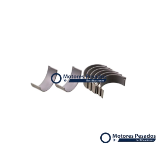 Cojinetes para Mercedes Benz OM501 - V6