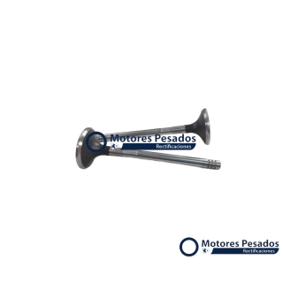 Valvulas para Maxion 2.8 HS Power Stroke - 4 cil.