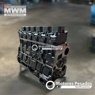Motor sin periféricos MWM 6.10 - 6 Cil. | 250 hp - comprar online