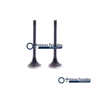 Valvulas para MWM 6.10 TCA Serie 10 - 6 cil.