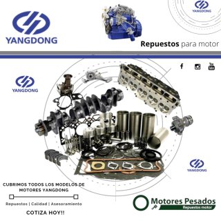 Repuestos Yangdong 