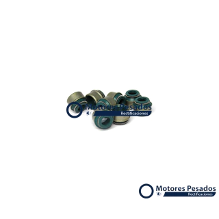 Retenes de valvulas para Scania 113 - DSC11