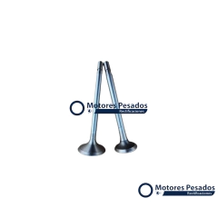 Valvulas para Mercedes Benz OM352A - 6 cil.