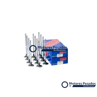 Valvulas para Iveco / Case / New Holland - F3AE - 10.3L - Cursor 10