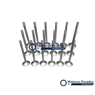 Valvulas para Mercedes Benz OM355 - 5 Cil.