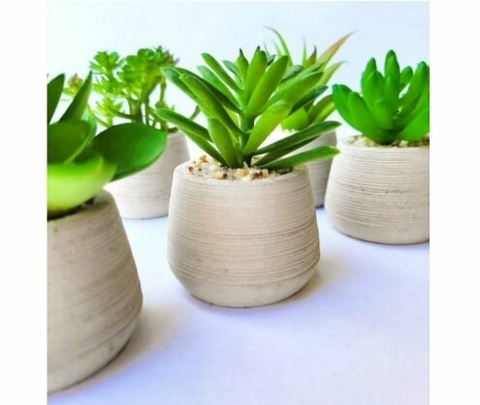Suculentas Surtidas Conica 5x5cm