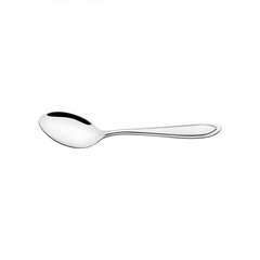 Colher sobremesa inox 12 peças