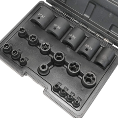 Set 19 Tubos Torx Plus Hembra 6 Y 5 Lobulos 4EP a 32EP DPTOOL