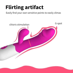 Vibrador Estimulador de Pto G Clitoris USB en internet