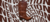Carrusel Ape Shoes