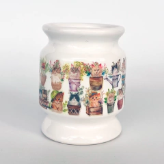 Mate "Kitten"