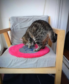 Alfombra Tufting Gato Gris y Fucsia en internet