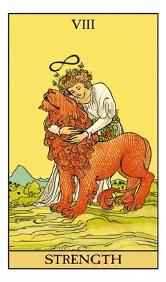 AFTER TAROT (LIBRO + CARTAS) en internet