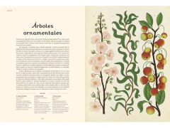 ARBORETUM en internet