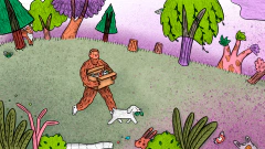 Bosque - comprar online