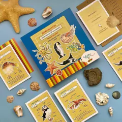 Dame una pista amigos del mar - comprar online