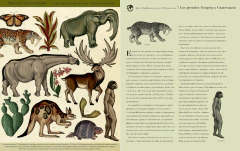 LA HISTORIA DE LA VIDA. EVOLUCION en internet