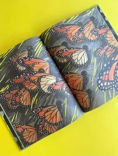 La mariposa monarca - comprar online
