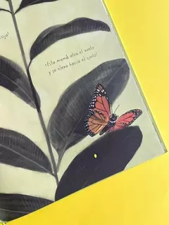 La mariposa monarca en internet