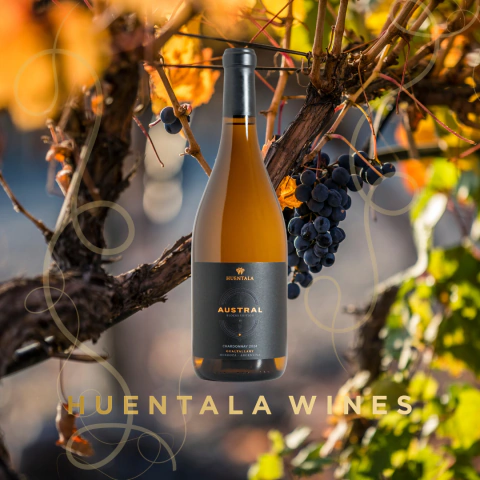 HUENTALA BLOCKS EDITION, Austral Block 22, Chardonnay