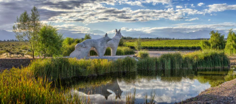 Carrusel Huentala Wines