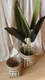 Canasto bamboo patron chico - comprar online