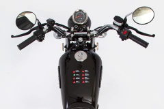 Imagen de PATAGONIAN EAGLE 150 ST
