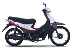 ZB 110 LT