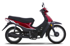 ZB 110 LT - comprar online
