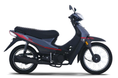 ZB 110 LT en internet