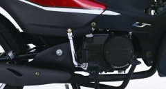 ZB 110 LT - tienda online