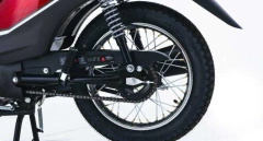 ZB 110 LT - comprar online