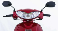 ZB 110 LT en internet