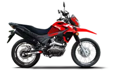 ZR 150 Z3 - comprar online