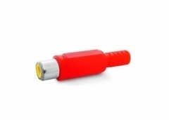 FICHA RCA HEMBRA PROLONGACIÓN ROJA