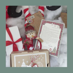 Box Snow Individual