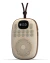 Radio Fm Con Parlante Recargable Bluetooth Microsd Para Mp3