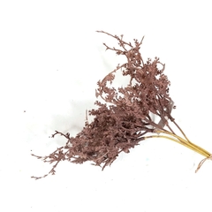 bouquet hojas mora - comprar online