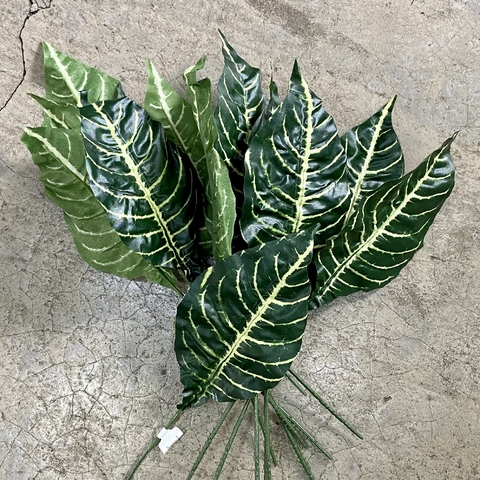 Hojas cebra