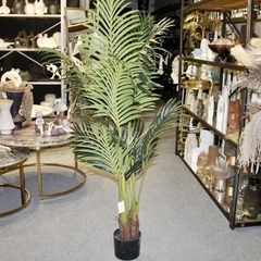 Planta palmera con maceta - comprar online