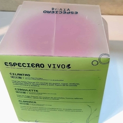 Macetas plásticas verde con brote x 3 - comprar online