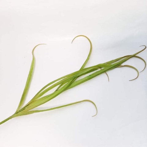 Ramo verde 95 cm de largo