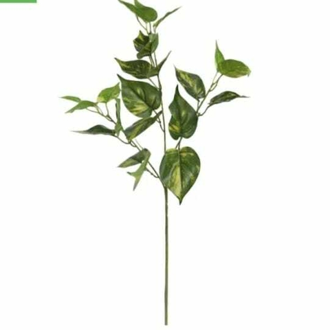 Vara hoja verde