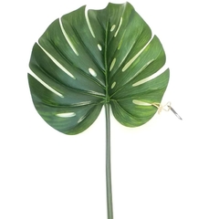 Hoja monstera verde de 80 cm de alto