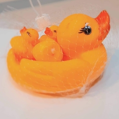 Familia de patos para agua