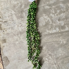 Planta con caída 50 cm en internet