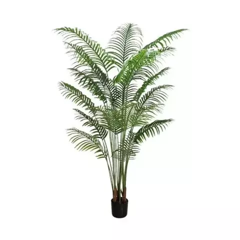 Planta - comprar online