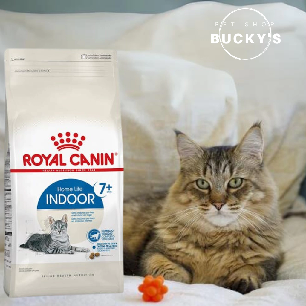ROYAL CANIN INDOOR +7
